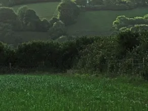 Orchard End - Image 5