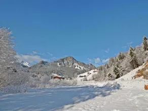 Spacious Holiday Home in Wald im Pinzgau With Sauna - Image 5