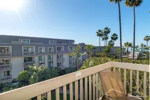 Pacific Palms - Image 4