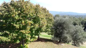 Pian della Bandina - Image 5