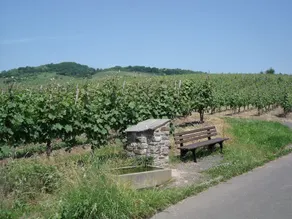 Ferienwohnungen Gästehaus Gerhild - Image 2