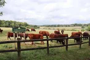 Oxen Cottage - Image 2