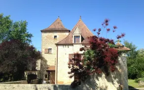 Domaine Du Terrou - Image 4