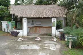 CocoAventura Cabanas & Club de Playa - Image 5