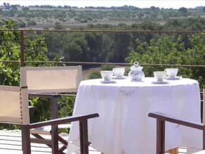 Finca Puig Pelat - Image 3