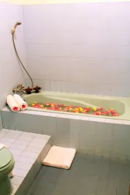 Graha Ayu Hotel - Image 5