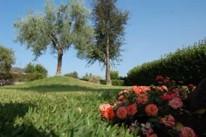 Bed & Breakfast Terra E Stelle - Image 4