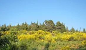 Agriturismo Antica Dimora - Image 4