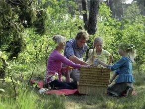 Well furnished bungalow with microwave near a nature reserve - Image 2