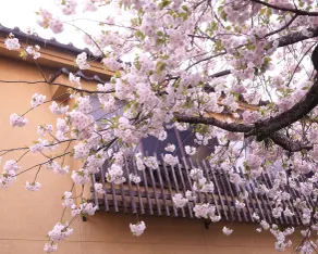 Tabinoyado Satuki - Image 5