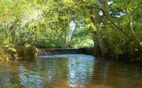 Le Moulin Neuf - Image 4