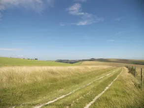 River Cottage - Image 2