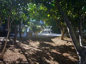 Buena Vista - Country Villa - Image 5