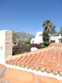 Villa Mango - Image 5
