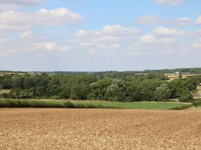 Egleton - Image 3
