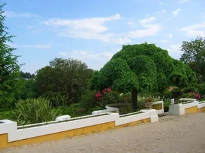 House With 3 Bedrooms in Valpedre, With Private Pool and Terrace - 30 km From the Beach - Image 5