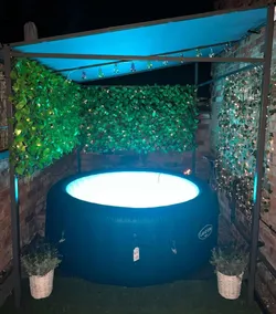 Jacuzzi Spa! Stunning Entire Guest House - Netflix - Image 4
