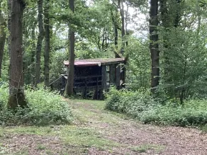 Unique off Grid Tree-house Stay in oak Woodland - Image 2