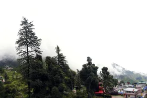 Hotel The Oak Valley by OYO Rooms - Image 3