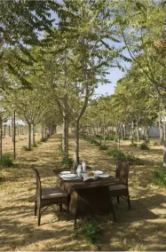 The Greenhouse Resort - Image 3