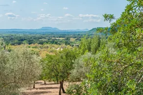 Finca SA SINI - Image 3