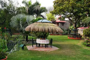 Tree of Life Homestead - Image 3