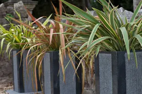 The Park B&B - Image 4