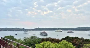 Mandovi - Image 4