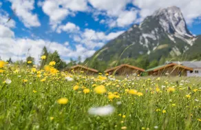 TIROL.CAMP Leutasch - Image 2
