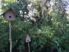 De'Native Guest House - Image 3