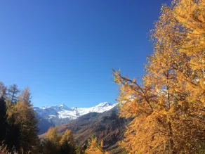 Bergfreude - Image 3