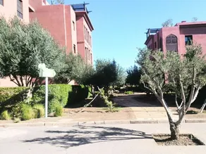 Riad Dehbiya - Image 3