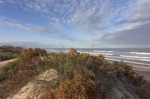 Brezo - Image 5