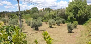 House With 3 Bedrooms in Espinhal, With Wonderful Mountain View, Enclosed Garden and Wifi - 50 km From the Beach - Image 2
