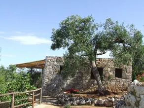 Residenze Fusaro 2 - Image 3
