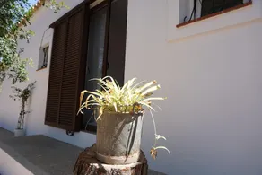 2 bedrooms house at Platja de Migjorn 600 m away from the beach with furnished garden and wifi - Image 4
