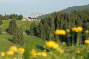 Alpine Smart Residence - Image 2