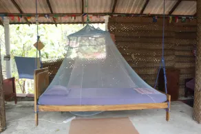 Jungle Vista - Image 3