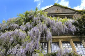 The Abbey House Gardens - Image 5