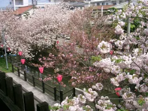 Tabinoyado Satuki - Image 3