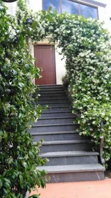 B&B Il Melograno - Image 2