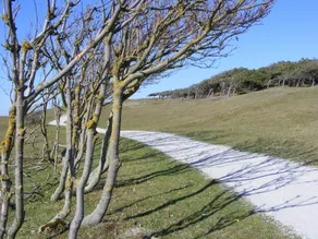 Breeburg - Image 3