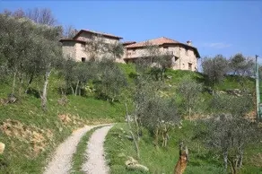 Casa Vacanze La Casala - Image 5