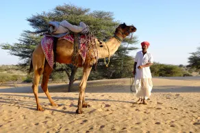 Registan Desert Safari Camps - Image 4