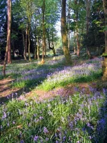 Finglen House - Image 3