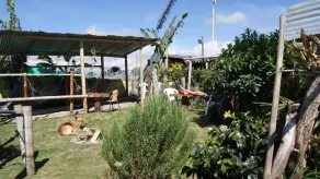 CASA DEL LORO HOSTAL - Image 5