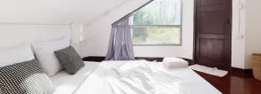 Squirrel Hostel - Image 3