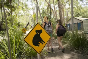Bungalow Bay Koala Village - Image 2