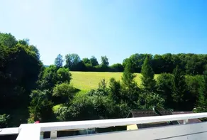 Goolden - Image 3