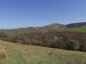 Y Daflod - Image 3